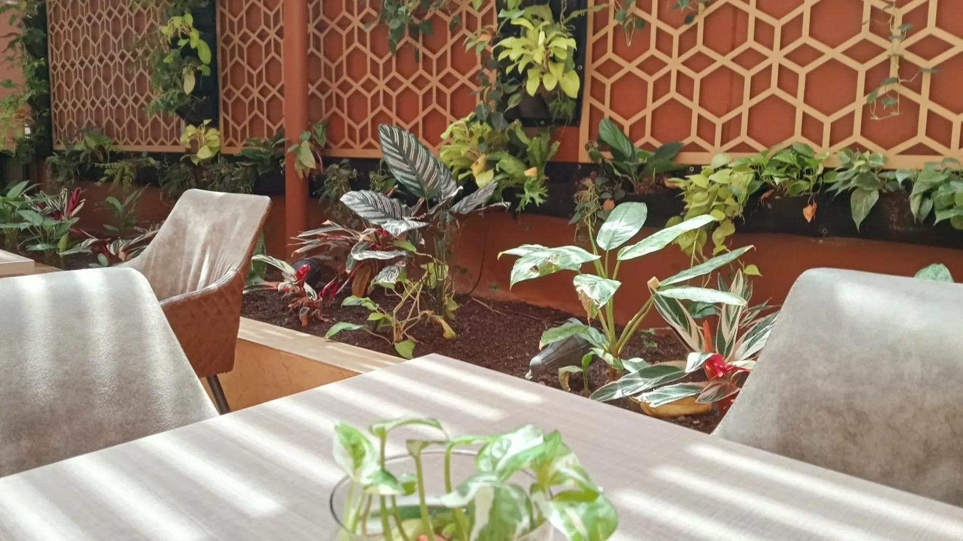 Hotel Lomas 10 Medellin By Dico