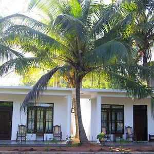 https://shady-mango-villa.kandyhotelsnow.com
