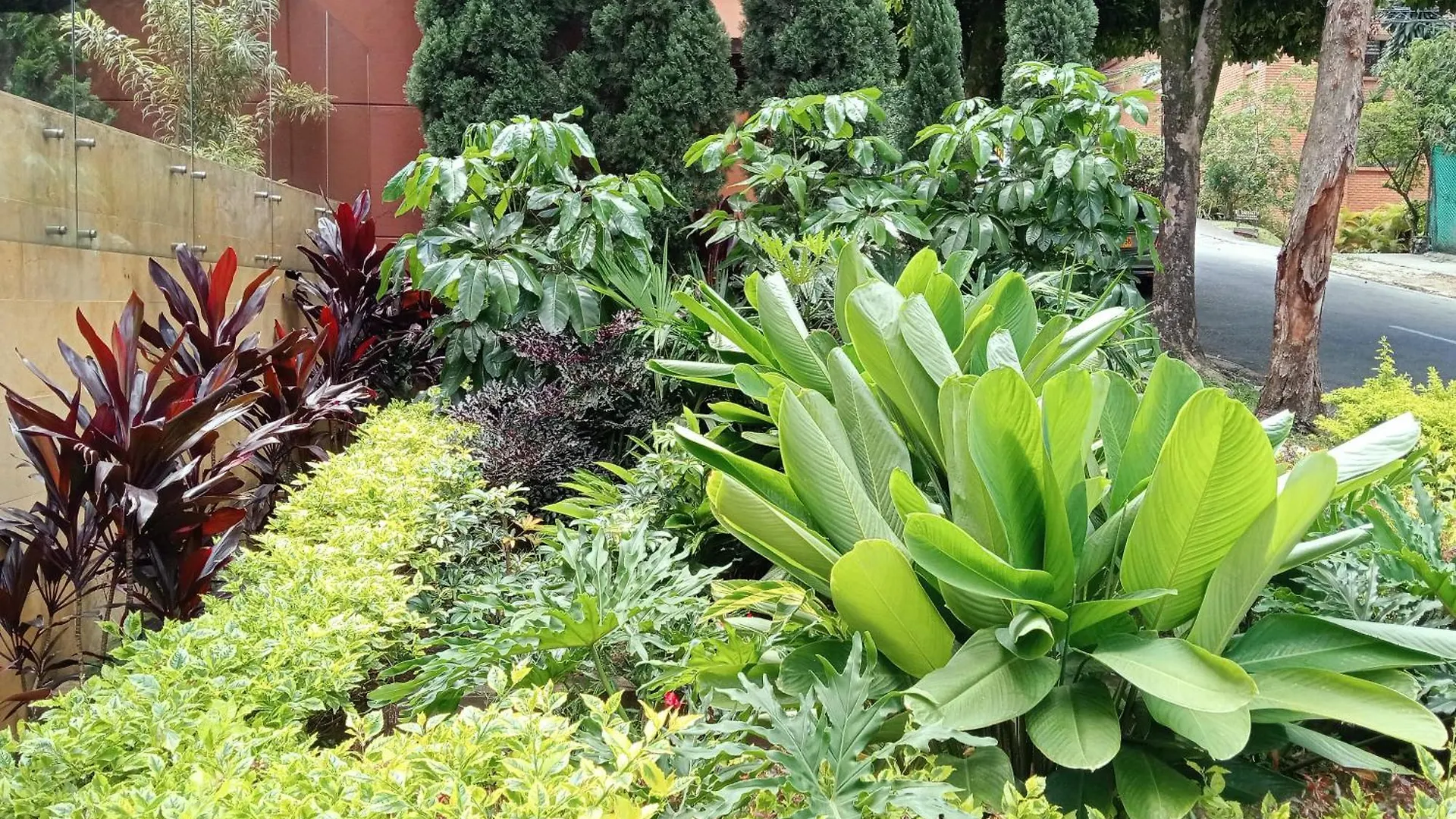 Hotel Lomas 10 Medellín