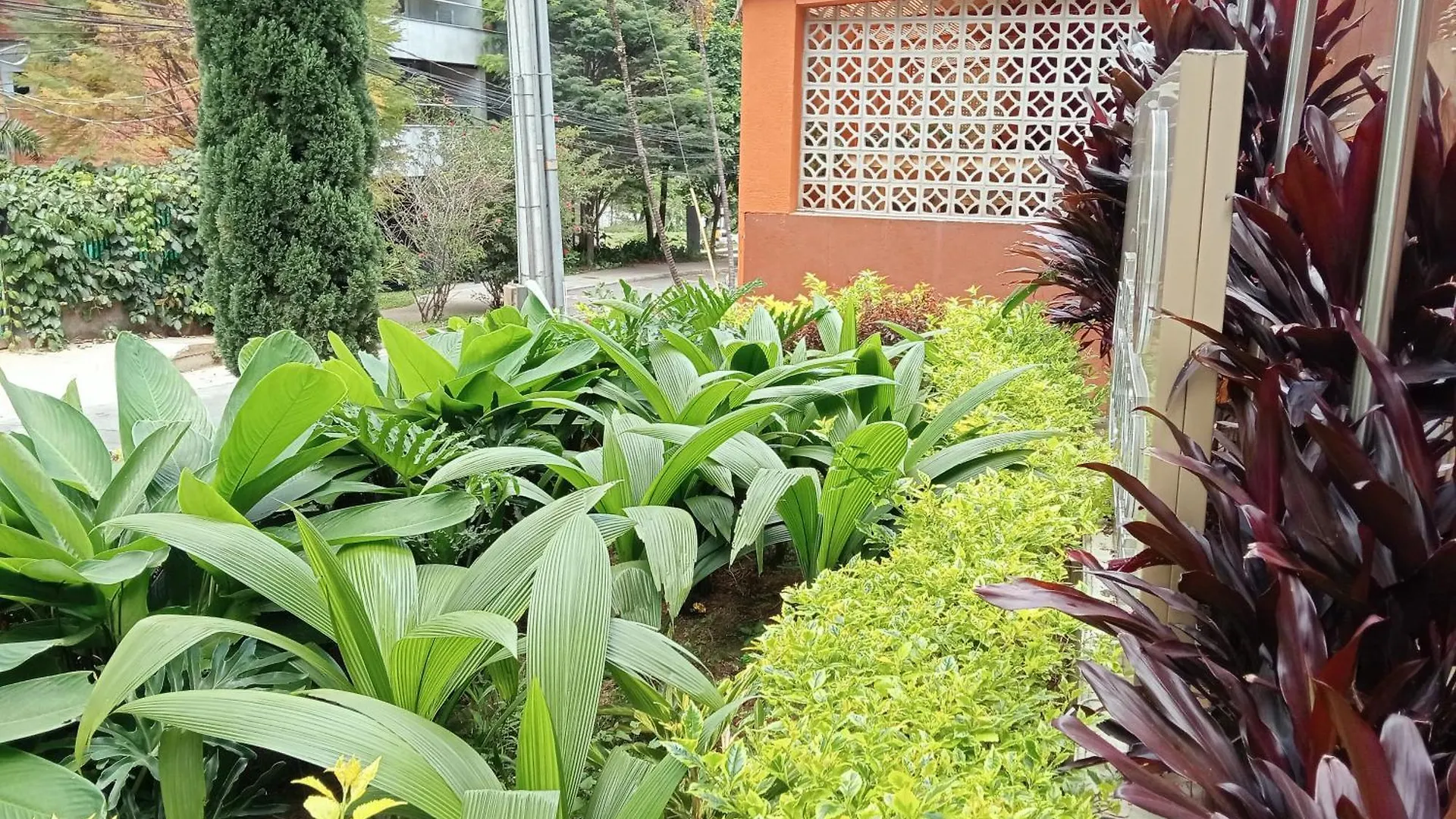 Hotel Lomas 10 Medellín